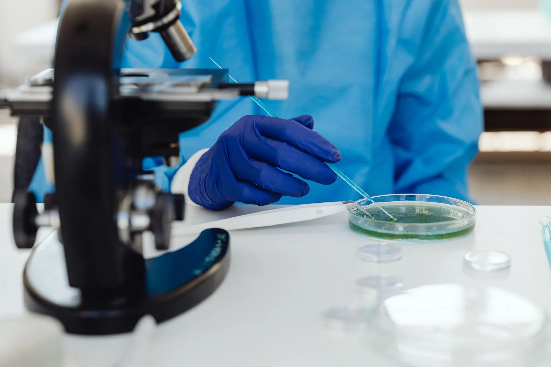 Badanie laboratoryjne próbki na szalce Petriego obok mikroskopu
